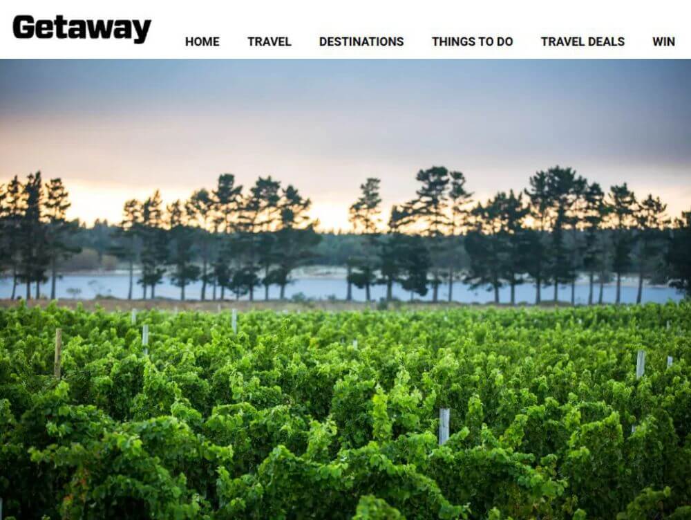 Sauvignon Blanc vineyards in the Elgin Valley