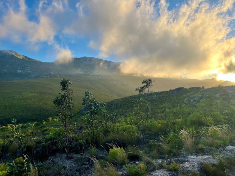 landscape of the Green Mountain Trail Elgin Valley by Chris Thurman